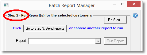 batch report manager - step